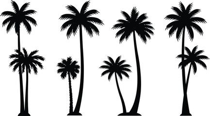 Seamless pattern of black palm tree silhouettes on transparent background