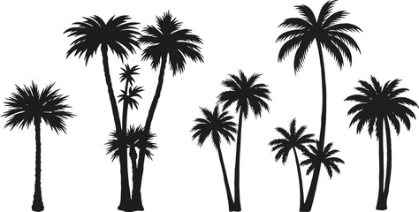 Black Palm Tree Silhouette Collection on Transparent Background for Graphic Design