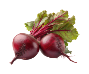 Harvesting fresh beetroots local farm food