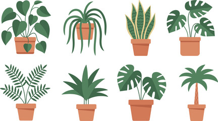 Set of Eight Vector Indoor Potted Plants Illustrations with Various Leaf Shapes and Greenery for Home and Office Decoration