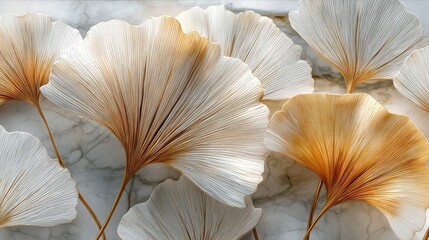 Ginkgo leaves arranged on a marble surface.