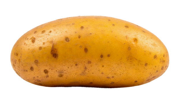 Potato, realistic style, high resolution, isolated on transparent PNG format, with vivid colors, natural texture, clean edges, no background, fresh appearance, detailed surface, lifelike presentation,