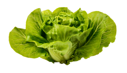 Lettuce, presented in transparent PNG format, realistic style with high resolution, isolated and clean edges, no background, vivid colors, natural texture, fresh appearance, detailed rendering, sharp 
