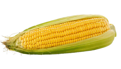 Corn, isolated on transparent PNG format, shown in realistic style with vivid colors, natural texture, clean edges, and fresh appearance, high-resolution digital image designed for professional use, v
