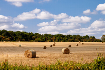Bales of hay on summer field of straw following summer harvest on british farm