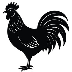 Rooster and hen silhouette collection, farm animal illustration, poultry vector artwork, black and white graphic, rural livestock design, chicken drawing © ABIR