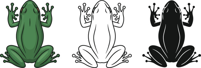 Obraz premium Frog illustration set amphibian vector graphic design art