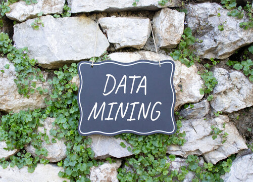 Data Mining symbol. Stone wall with words Data Mining. Beautiful stone background with plants. Business and Data Mining concept. Copy space.