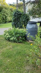 Obraz premium Rain barrel next to lush green garden in suburban outdoor setting 