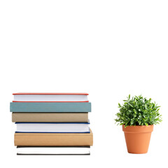 A stack of colorful books sits beside a small potted plant, creating a serene and minimalist arrangement.