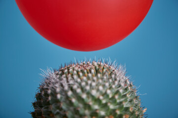 A red balloon floats toward a cactus and is about to burst due to a thorn. A symbol of danger and fragility