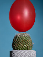 A red balloon floats toward a cactus and is about to burst due to a thorn. A symbol of danger and fragility