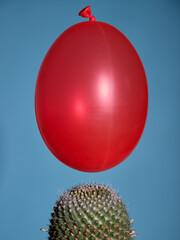 A red balloon floats toward a cactus and is about to burst due to a thorn. A symbol of danger and fragility