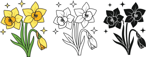 Fototapeta premium Daffodil flower illustration set spring floral design art