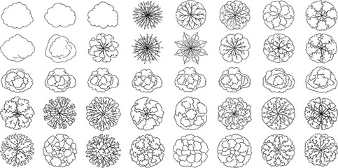Collection of top-down tree illustrations for architectural and landscape design