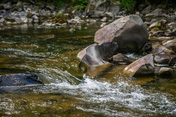 Cascading water flows over rocks in a serene forest setting during the afternoon hours