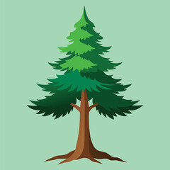 Cypress for the Christmas festival