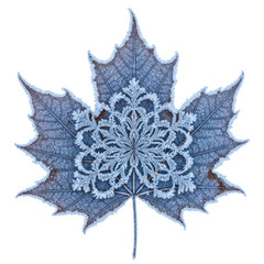 blue snowflake isolated on white
