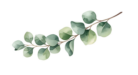 Obraz premium Watercolor seamless Border of Eucalyptus branches in soft pastel green tones. Illustration of botanical Frame for Baby shower greeting cards or wedding invitations. Drawing of frame with leaves.