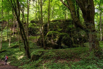 Obraz premium Wandern auf dem Panoramaweg im Ailsbachtal in der Fränkischen Schweiz