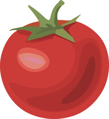 Fresh red tomato with green stem vector illustration, juicy organic vegetable isolated on white background, perfect for cooking, salad, food, and garden designs