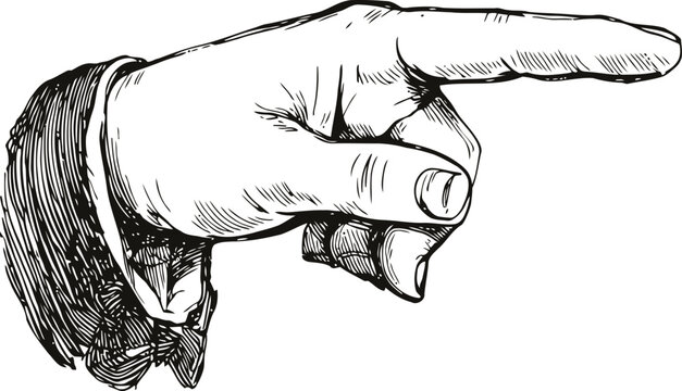 Vector engraving hand of gentleman or senior in pointing finger gesture. Vintage old book style illustration.