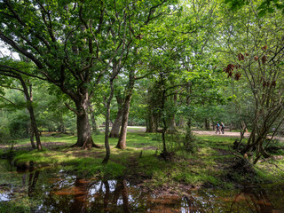 young couple hikes on path in the new forest near brockenhurst in england