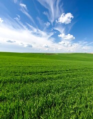 Obraz premium Expansive green field under a vibrant blue sky with wispy clouds
