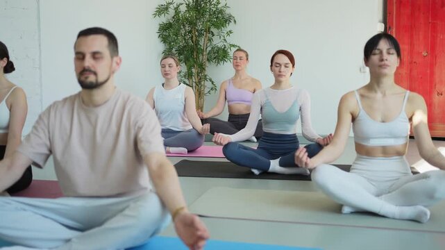 Yoga mindfulness meditation. Group of sporty people doing exercise in studio for class for yoga wellness mindfulness meditation. Men women practicing yoga sitting in lotus pose meditating relaxing