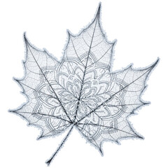 maple leaf silhouette