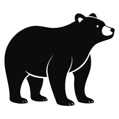 Black bear standing profile view animal wildlife