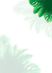 vector border png	
