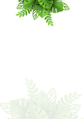 Obraz premium vector border png 