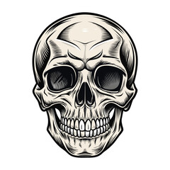 Detailed human skull with dark eye sockets and grinning teeth bone anatomy