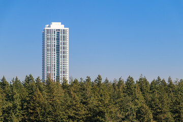 Aerial view on residential area in Burnaby, Metro Vancouver, British Columbia, Canada.