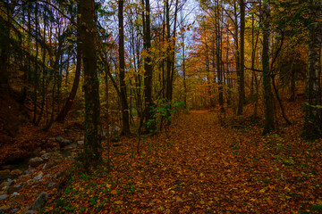 autumn landscape in Karpacz, Poland