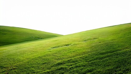 Obraz premium green grassland landscape isolated on white or