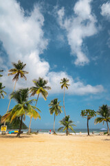 Fototapeta premium Travel International Vacation Ocean Palm Tree