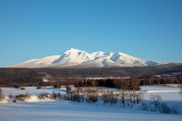 Fototapeta premium Mt. Shari and forest at the foot of the mountains in winter
