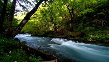 Fototapeta premium Lush riverside forest scene