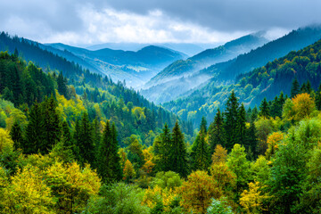 Obraz premium Lush green forested mountains with layered valleys and mist under cloudy sky