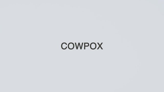 Cowpox word diagnosed with a stethoscope held in hand on a white background, illustrating viral infection, medical diagnosis, healthcare concept, and patient awareness