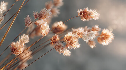 Grass plumes glow in soft light. Calm, serene nature shot for web design, marketing, or editorial use.