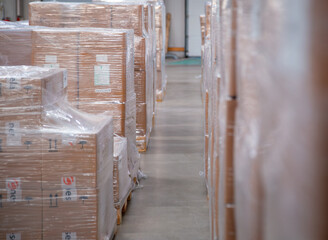 Holzpaletten mit Kartons