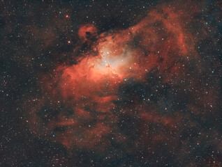 M16 (Adlernebel) Bicolor - -  echtes Bild, keine KI!