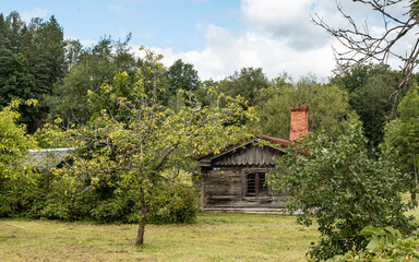 Fototapeta premium Old wooden house surrounded by lush green trees. The rustic architecture blends harmoniously with the natural environment, evoking a sense of tranquility and timeless charm.