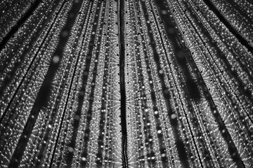 Fototapeta premium light texture