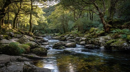   A river meandering through a verdant landscape adorned with boulders and flora along its banks
