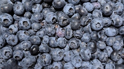 Close-up of fresh blueberries — a versatile image for advertising berries, healthy eating, food packaging, culinary blogs, and eco-campaigns.