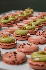 Elegant and Luxurious French Macarons in a Dubai Bakery